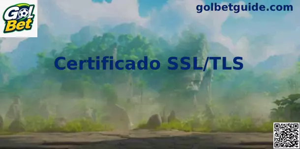 Infográfico do fluxo de proteção do Certificado SSL/TLS no Gol Bet